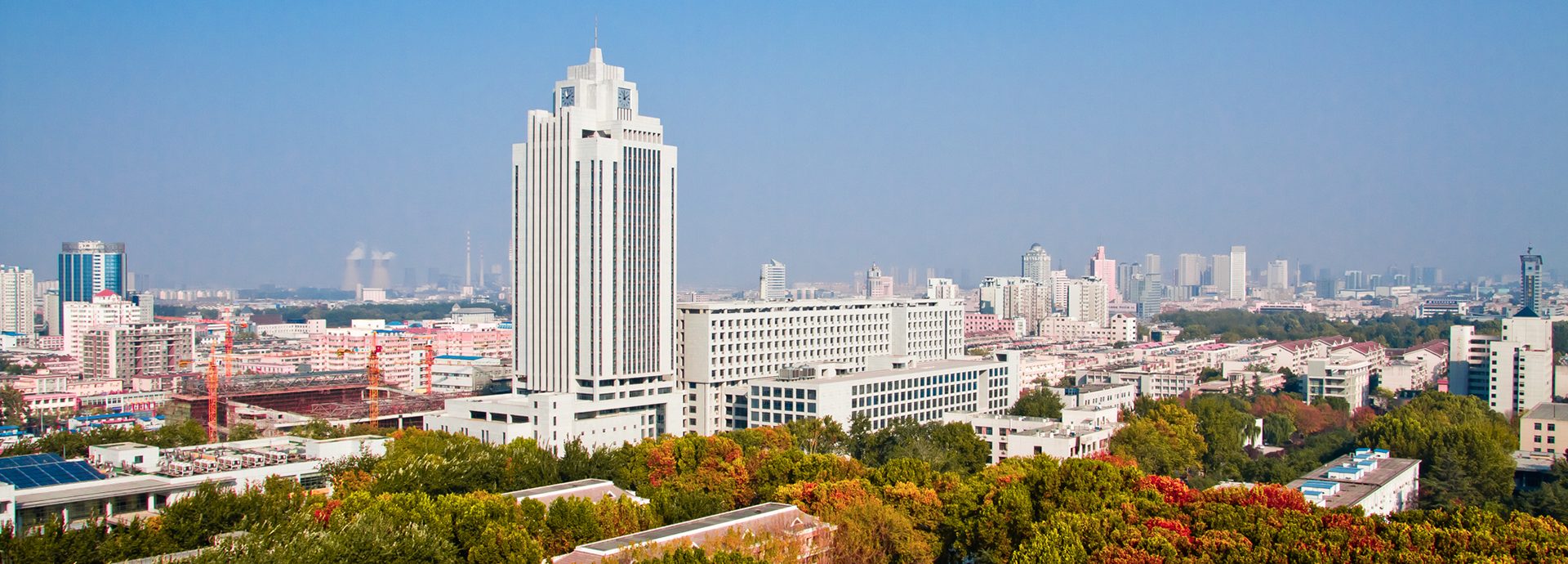 山东大学
